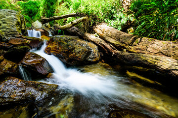 Creek or stream water flowing past rocks and stones