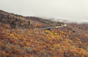 Foggy Autumn day at the Blue Ridge Parkway road in the mountains of North Carolina