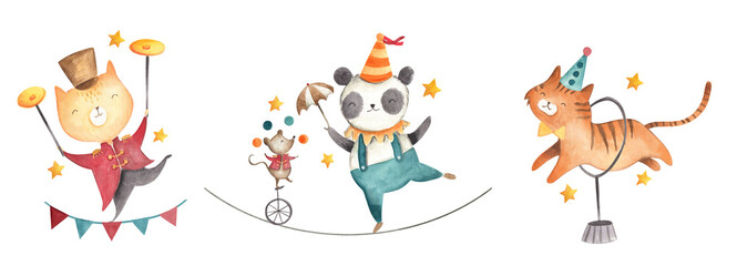 Circus watercolor illustration baby panda cat tiger  © Bianca
