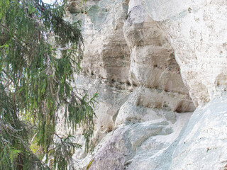 Sand rocks in the forest. Nature park in spring