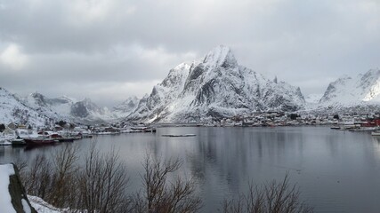Fototapeta premium Lofoten