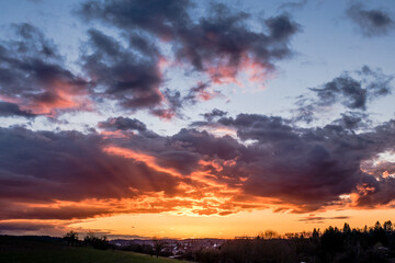 Sonnenuntergang und Baum mit vielen Misteln