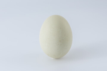 Egg on a light background