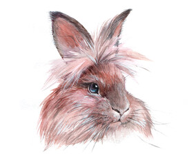 Watercolor single rabbit animal isolated on a white background illustration.
