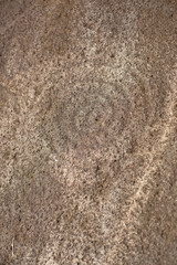 ancient stone carving, Nicaragua