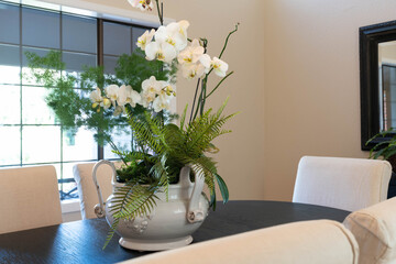 Large white orchid potted with ferns on formal dining room table.