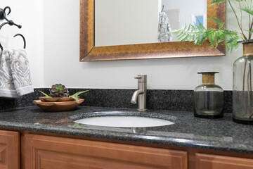 Bathroom vignette of granite counter with sink, mirror, and bowl with succulent.