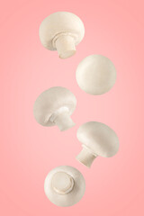 Flying fresh champignon mushrooms on colored background