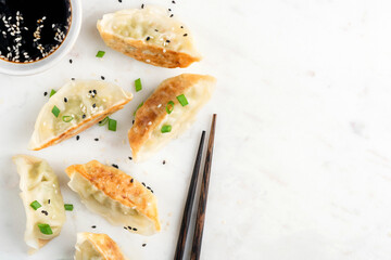 Fried Gyoza or Jiaozi on marble background, top view with copy space