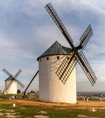 Naklejka premium the historic white windmills of La Mancha above the town of Campo de Criptana in warm evening light