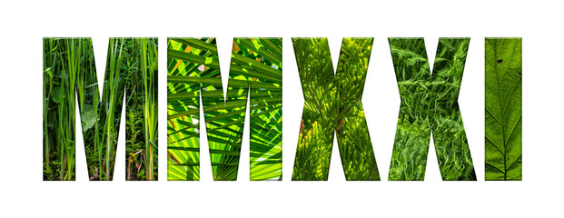 MMXXI 2021 in römischer Zahlschrift