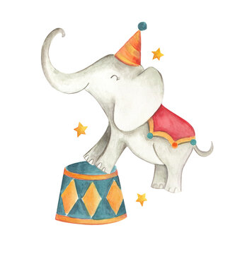 Circus watercolor illustration baby elephant 