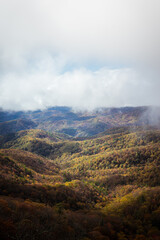 Foggy Autumn day at the Blue Ridge mountains of North Carolina
