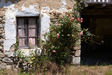 Fototapeta na wymiar old house in ruins with flowers