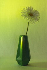 Experimentaci&oacute;n. 