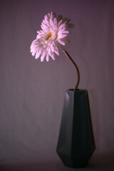 Experimentaci&oacute;n. 