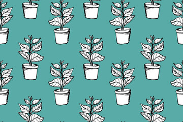 Outlined ficus plant in white pot vector seamless pattern. Hand drawn doodle house gardening pattern with monochrome botanical elements on blue background. Benjamin fig or Rubber fig element. EPS10