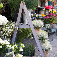 White heather in pots on a stepladder near a flower shop