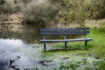 Wetlands In Hertfordshire