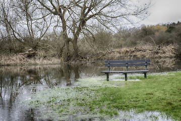 Wetlands In Hertfordshire