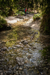 Two backpackers (a woman with a little son) are walking along a creek in a canyon of the Slovak Paradise National Park, Slovakia.