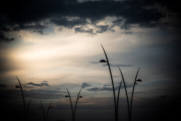 sunset over the lake