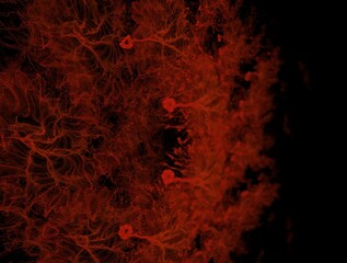 Imaginatory fractal background generated Image