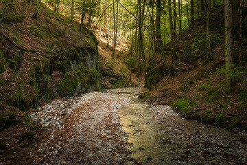 The trail through the beautiful canyon of the Slowacki Raj National Park