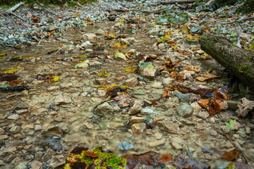 The trail through the beautiful canyon of the Slowacki Raj National Park