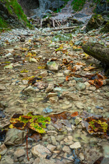 Fototapeta premium The trail through the beautiful canyon of the Slowacki Raj National Park