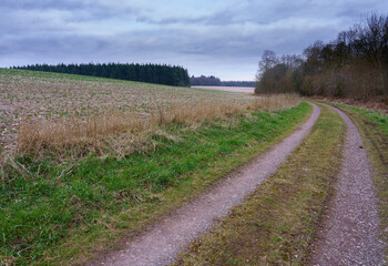 Fototapeta na wymiar a scenic winding track through woodlands and fields, North Wessex Downs, AONB 