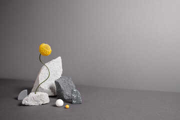 Diverse geometric figures with natural textures. Abstract minimalistic still life with copy space. Balancing flower with varied shapes, natural textures. Trendy colors of 2021 year - gray and yellow. - 422391052