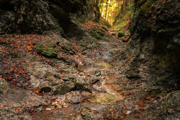 The trail through the beautiful canyon of the Slowacki Raj National Park