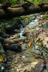 Wooden ladders over the stream in the gorges of the Slovak Paradise
