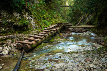 Wooden ladders over the stream in the gorges of the Slovak Paradise