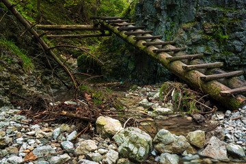 Wooden ladders over the stream in the gorges of the Slovak Paradise