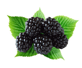 Heap of ripe blackberries with foliage isolated on white