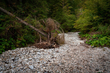 Obraz premium The trail through the beautiful canyon of the Slowacki Raj National Park