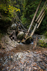 Wooden ladders over the stream in the gorges of the Slovak Paradise