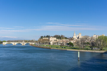 Fototapeta na wymiar panorama view of the city of Avignon on the Rhone River