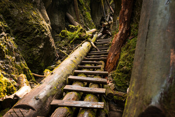 Wooden ladders over the stream in the gorges of the Slovak Paradise