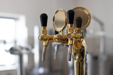 GOLD BEER TAPS