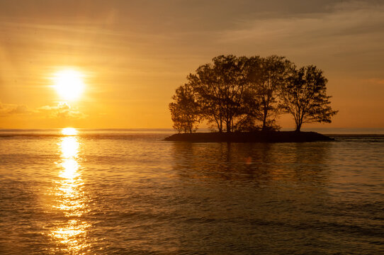 Beautiful shot of tree silhouettes across the ocean and the sunset in La Digue Island, Seychelles