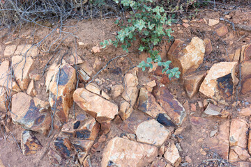 Stones on the road at the golden hour in southern Andalusia