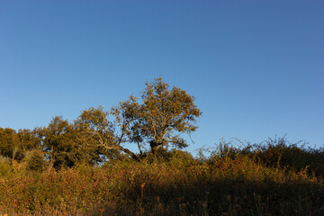 Landscape in the countryside of Spain