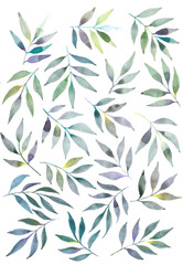 Watercolor floral illustration set - green leaf branches collection, for wedding stationary, fabrics, scrapbooking, greetings, wallpapers, fashion, background. Eucalyptus, olive, green leaves, etc