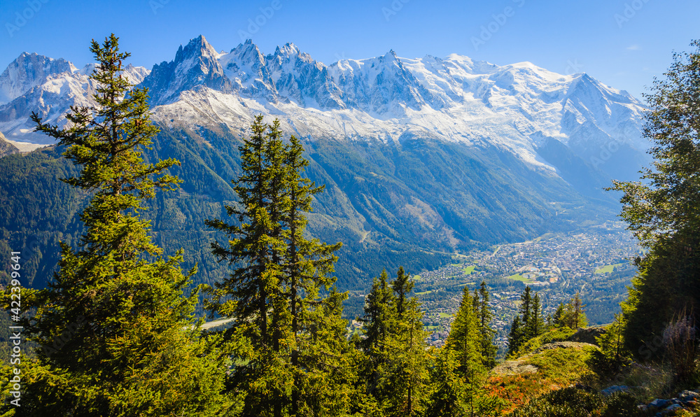 Poster French Alps and Chamonix Valley