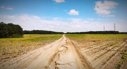 road in the field