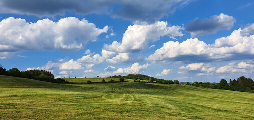 Green meadow under blue sky with white clouds