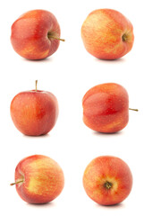 Several photos of a red apple as a set on a white